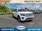 2020 Ford Expedition Max Platinum