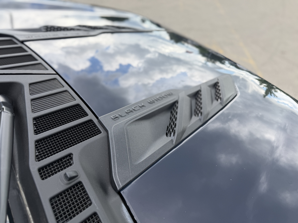2026 Ford F-150 Black Widow