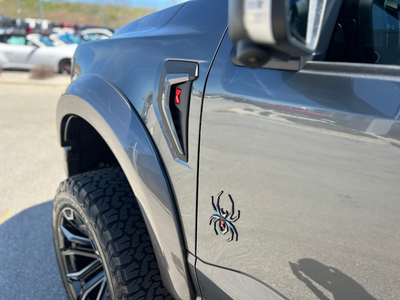 2025 Ford F-150 Black Widow