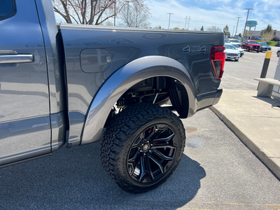 2025 Ford F-150 Black Widow