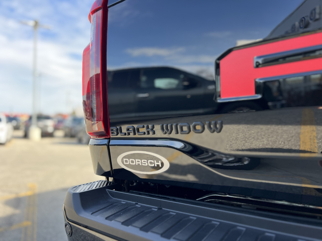 2026 Ford F-150 Black Widow SR 810