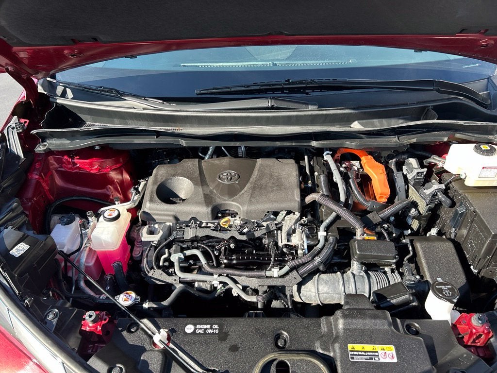 2021 Toyota Sienna XLE 7 Passenger