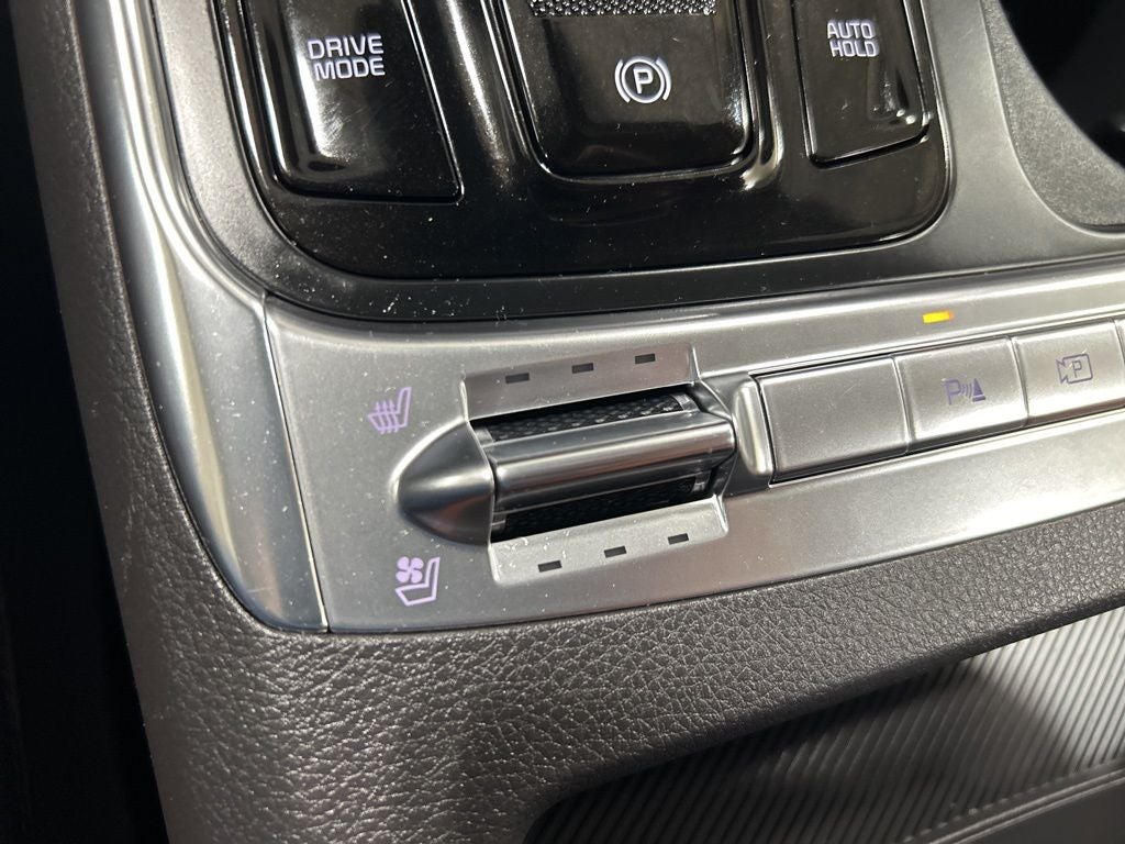 2025 Kia Carnival SX