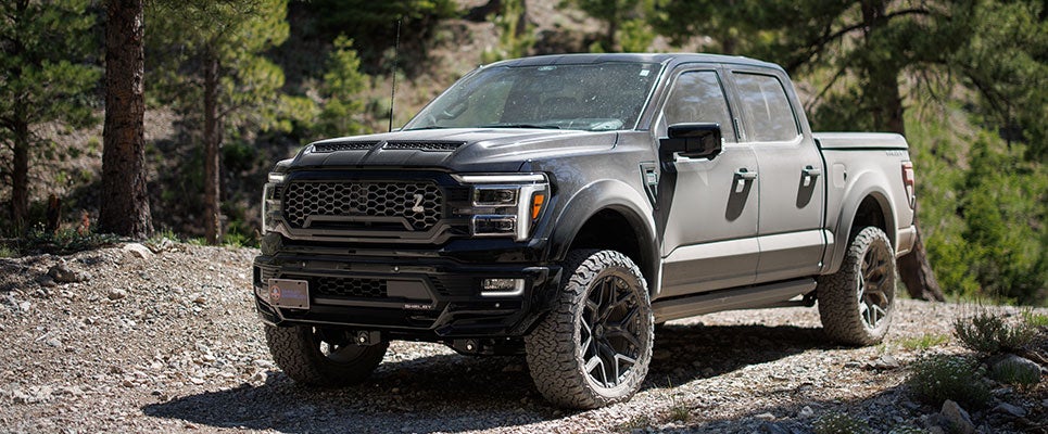 Shelby F-150 Off Road